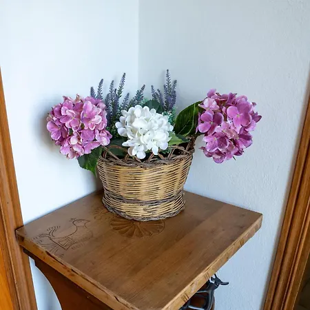 Holiday home Il Cedro