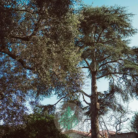 Casa vacanze Il Cedro