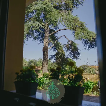 Holiday home Il Cedro